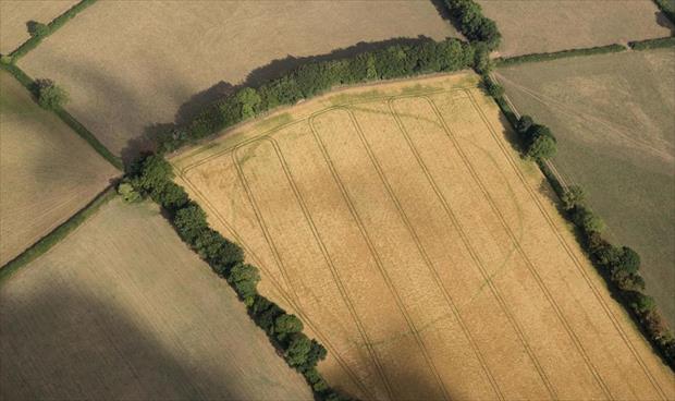 الطقس الحار يساهم في الكشف عن مواقع أثرية في بريطانيا