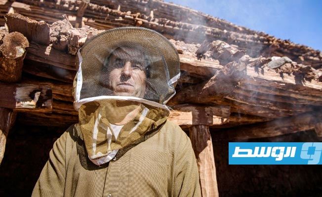 في المغرب.. النحل يهجر أقدم مزرعة جماعية لتربيته بالعالم