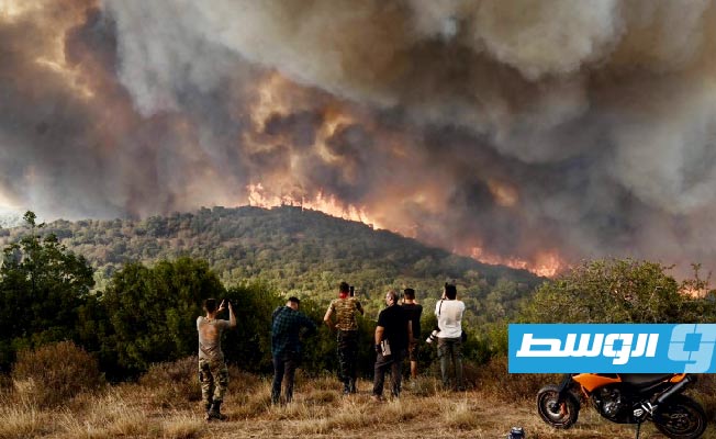 شاهد: الحرائق تلتهم غابات اليونان وتهدد التنوع البيولوجي والثروة الطبيعية