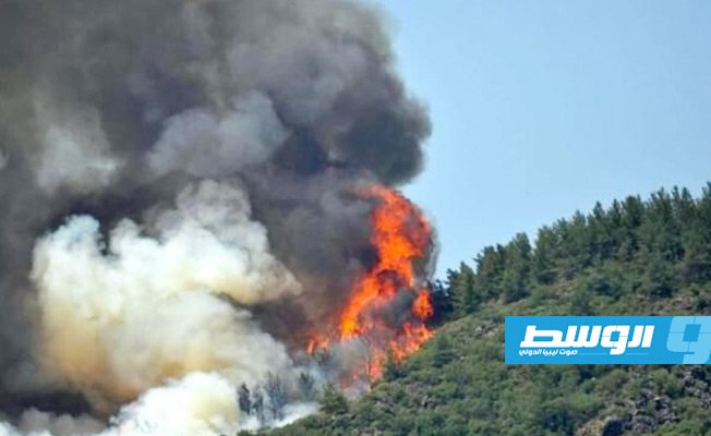 قبرص: السلطات تعلن السيطرة بشكل تام على حريق الغابات الهائل