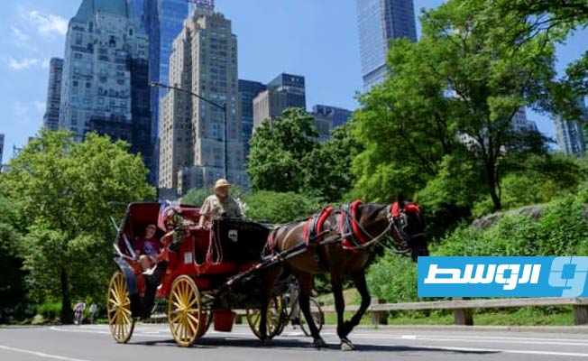 المركبات الكهربائية تهدد عربات الخيول في نيويورك