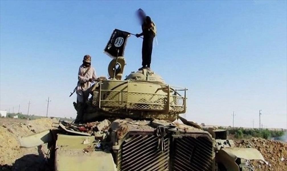 الجيش المصري يقتل إرهابيين شاركوا في هجوم «كرم القواديس»