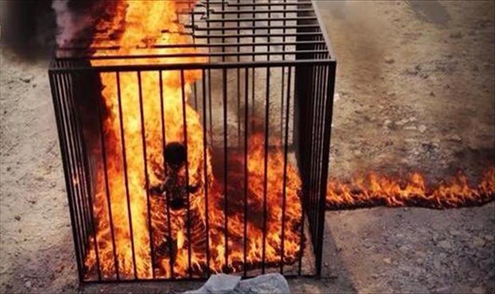 كيف سيحاسب ضحية «داعش» في قبره؟ برهامي يرد