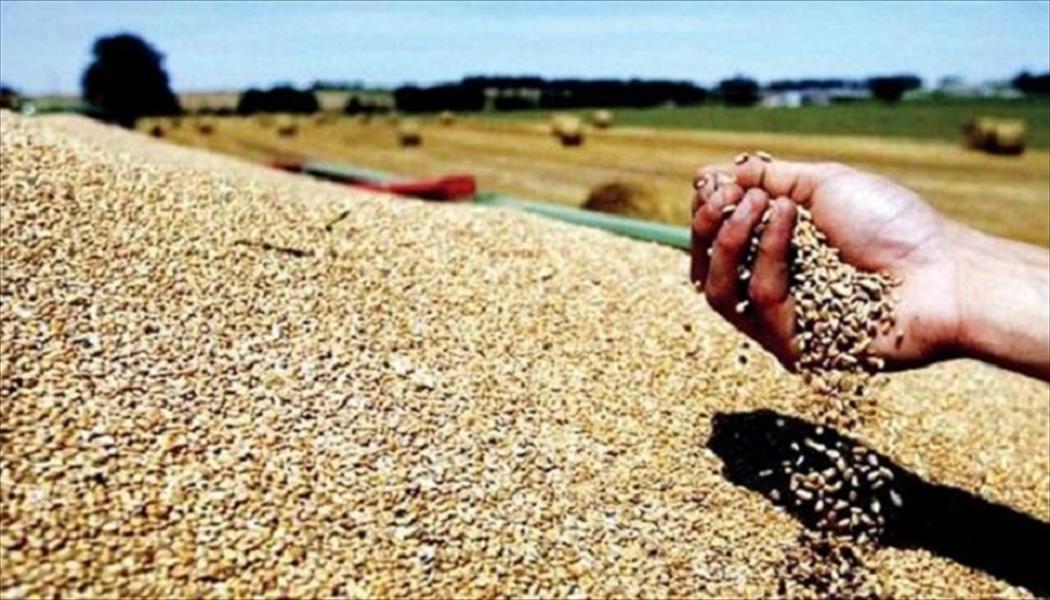 الحكومة الليبية تسحب من احتياطيات القمح لمواجهة نقص الطحين
