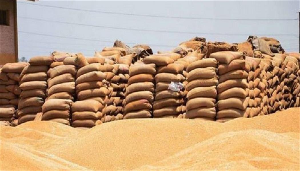 مصر: نستورد القمح «وفق مواصفات عالمية»