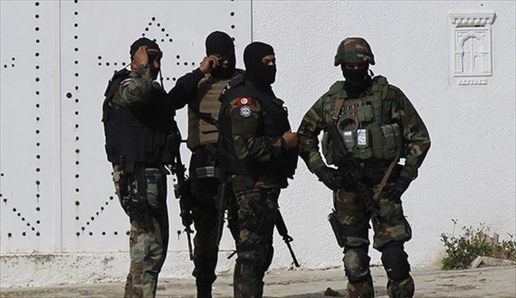 تدمير مخابئ للإرهابيين في جبال الكاف التونسية