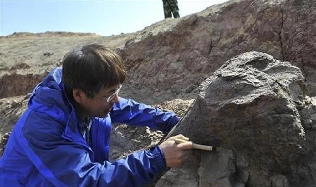 اكتشاف حفريات لأقدم ثدييات مبكرة على وجه الأرض