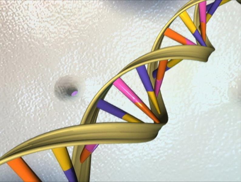 اكتشاف خريطة «الجينوم الأعلى» للتبنؤ بالأمراض