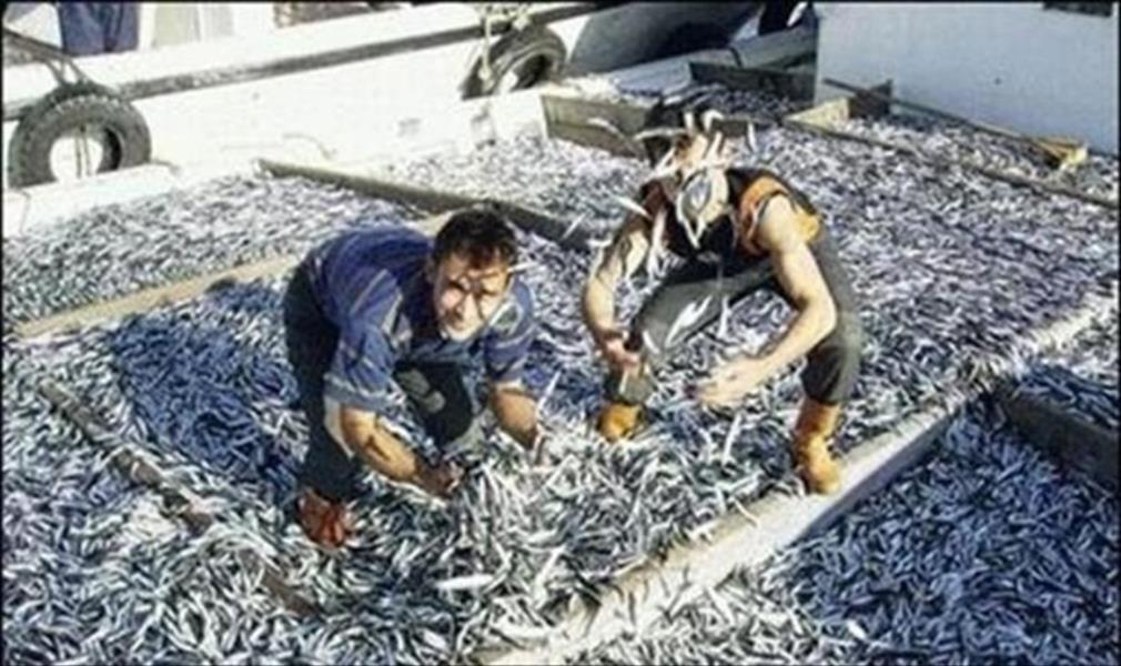 نشرة الصيد البحري على الساحل الليبي خلال الـ 24 ساعة المقبلة