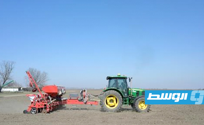 أوكرانيا ستخسر ثلث محصولها من القمح بسبب الحرب