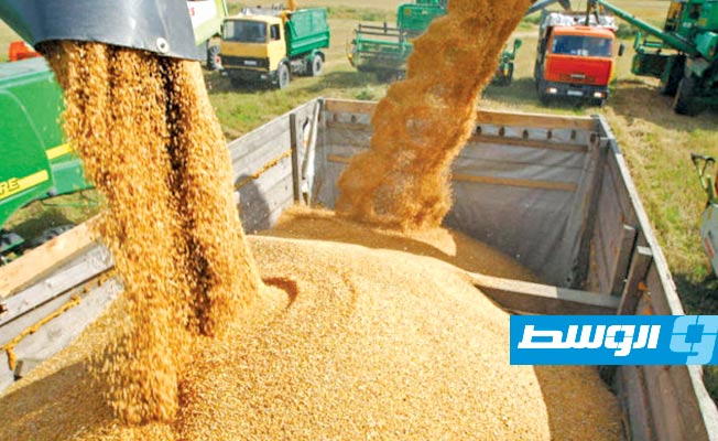 تركيا تفرض رسوم استيراد 130% على بعض واردات الحبوب