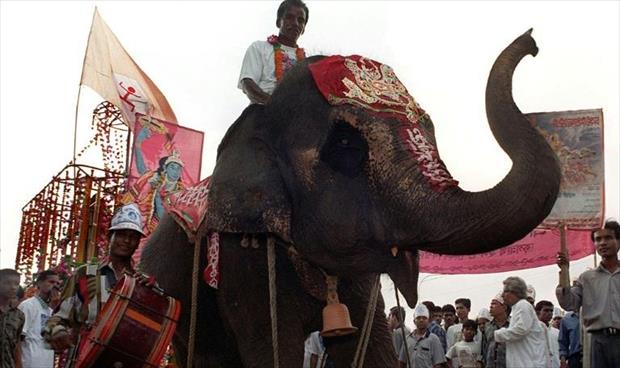 أكبر حديقة حيوانات في بنغلادش تحظر ركوب الفيلة