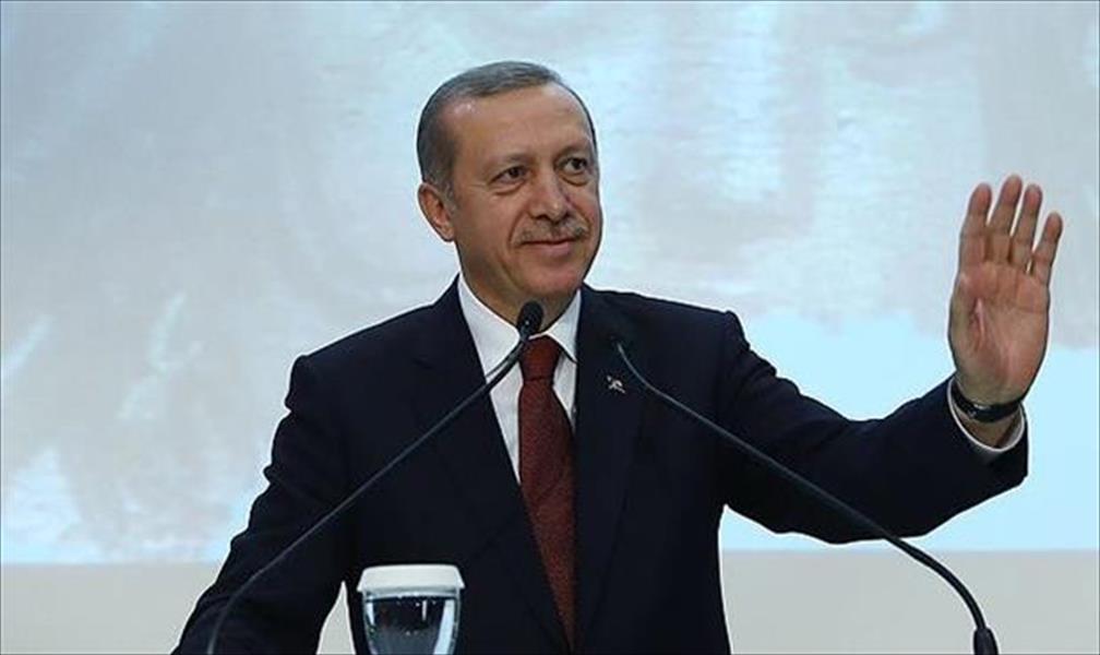 أردوغان في يوم الغجر: العالم يعاني العنصرية