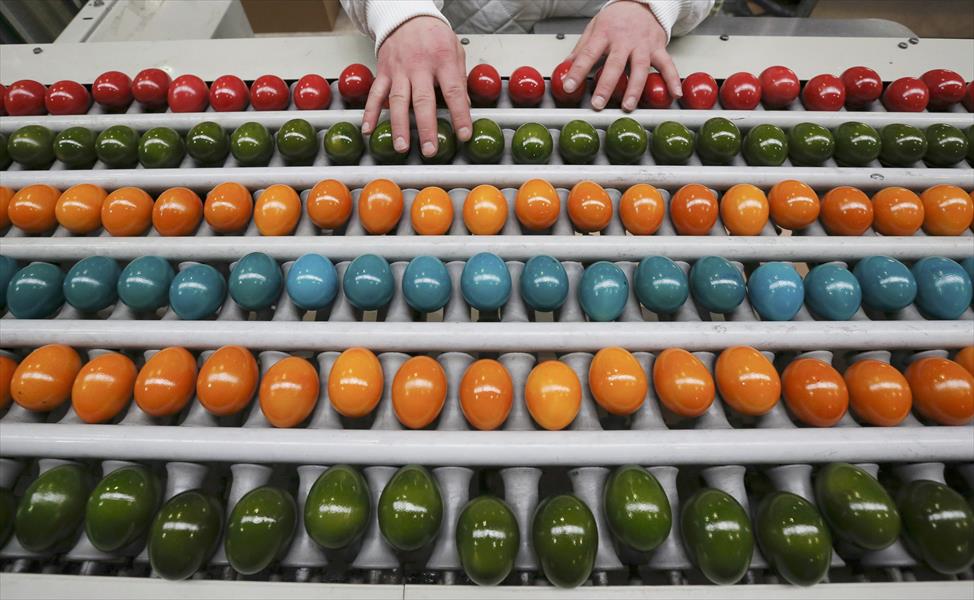 بالصور: شركة نمساوية تنتج 10 ملايين بيضة ملونة سنويًا