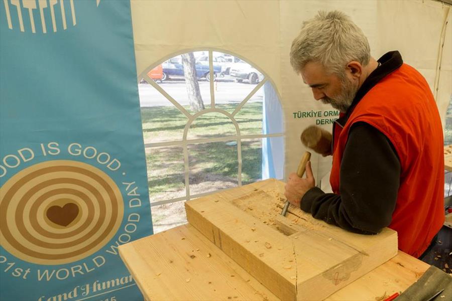 ليبيان يُشاركان في فعاليات اليوم العالمي للخشب