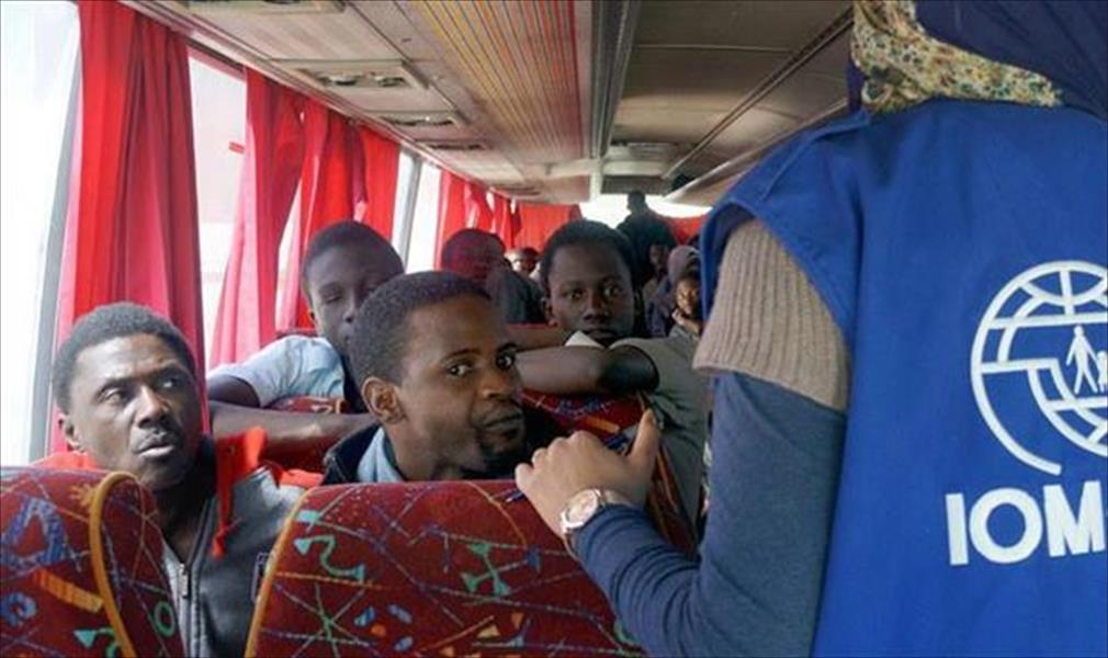 الهلال الأحمر: شاركنا في ترحيل 408 مهاجرين سنغاليين غير شرعيين