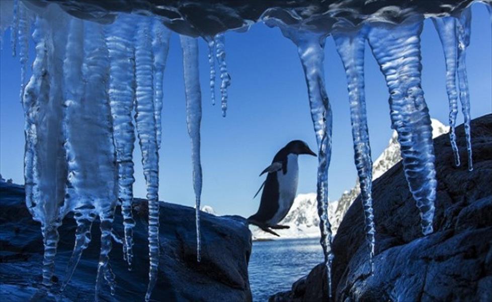 الجليد ينحسر بالقطب الجنوبي