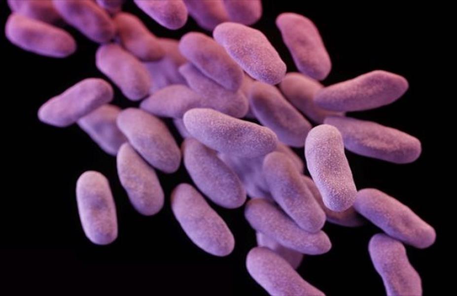 الولايات المتحدة تكافح «البكتيريا المروعة»