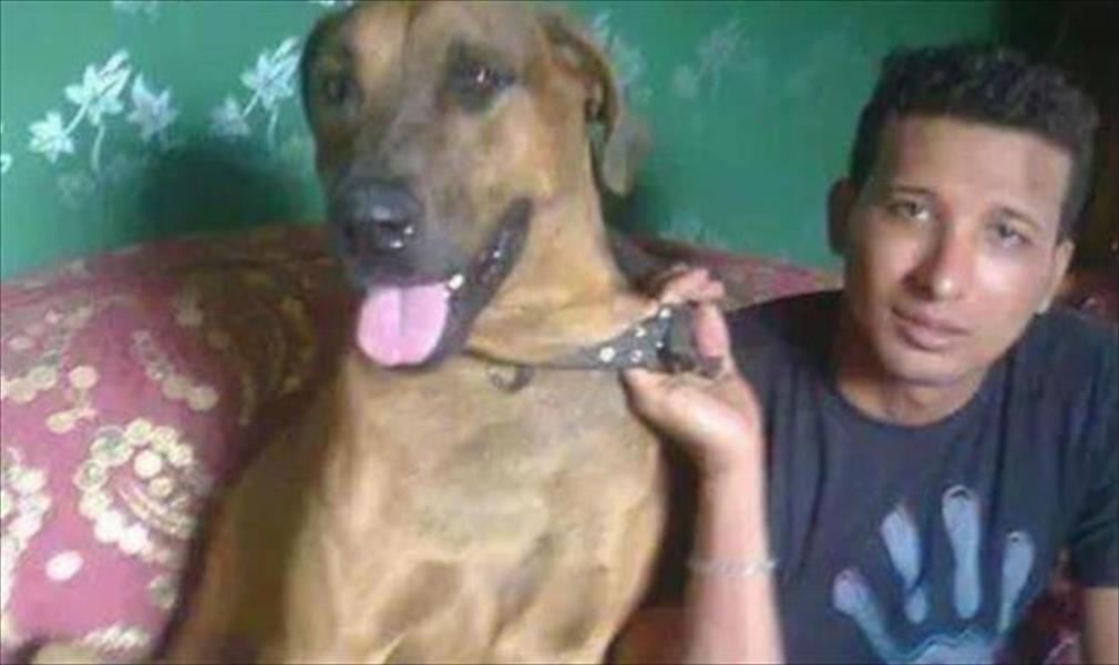 تخفيف أحكام سجن المتّهمين في قضية قتل «كلب شارع الأهرام»