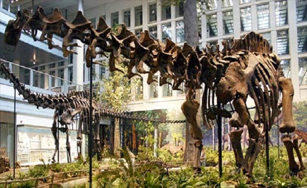 ديناصور يستعيد اسمه بعد قرن