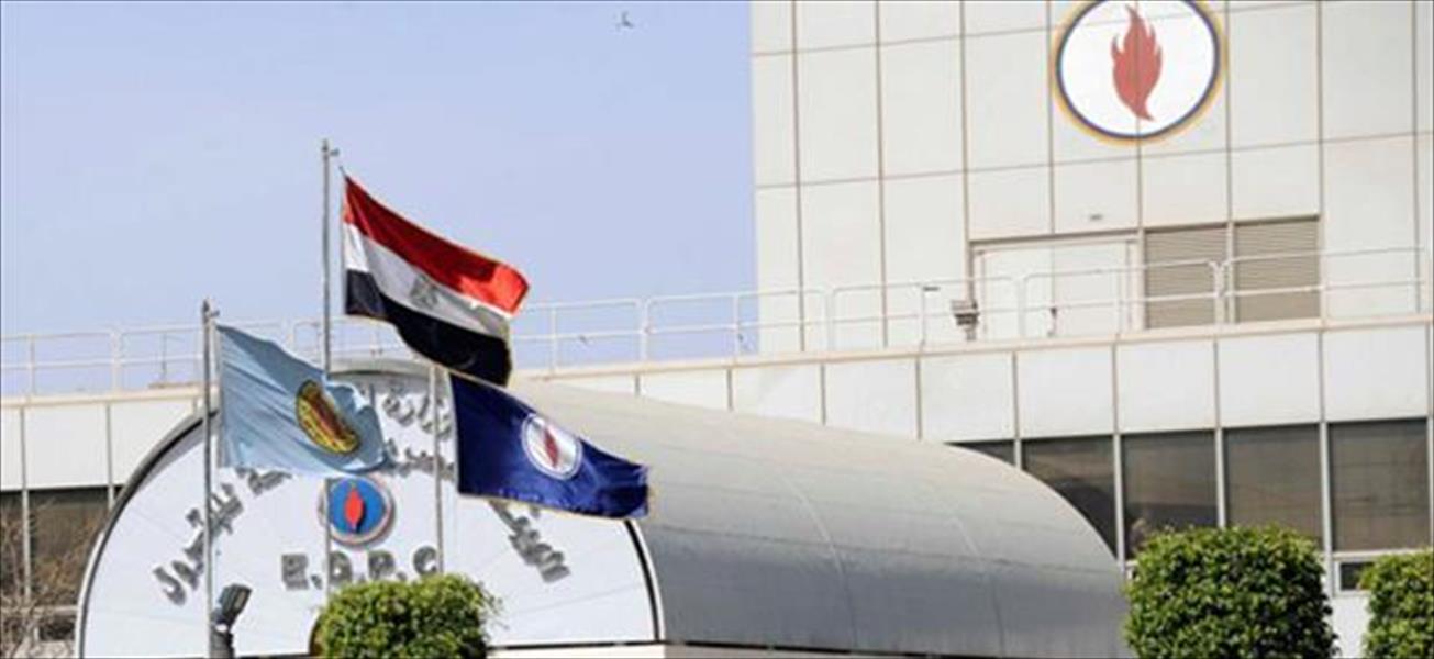 مصر تسعى لشراء 768 ألف طن من زيت الغاز تسليم مايو - يونيو