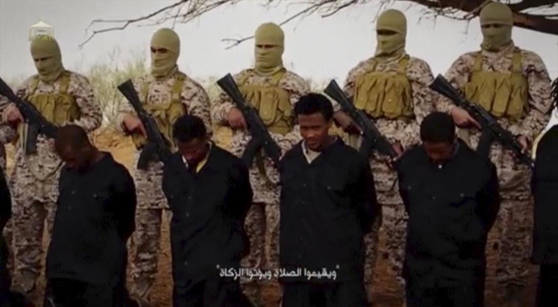 سفير مصر في إثيوبيا: القاهرة يمكنها مشاركة أديس أبابا لضرب «داعش» في ليبيا