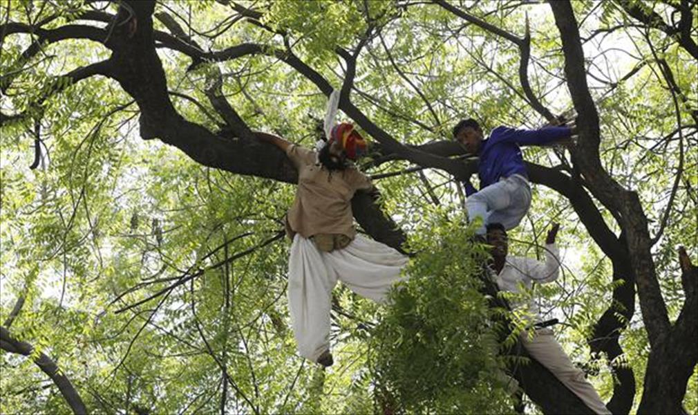 بالصور: مزارع هندي يشنق نفسه على شجرة أمام تجمع سياسي
