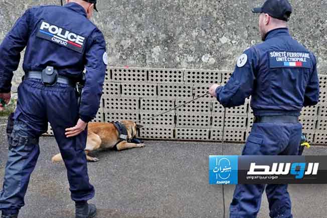 «رسوب الكلاب» في الاختبارات يثير المخاوف قبل أولمبياد باريس 2024