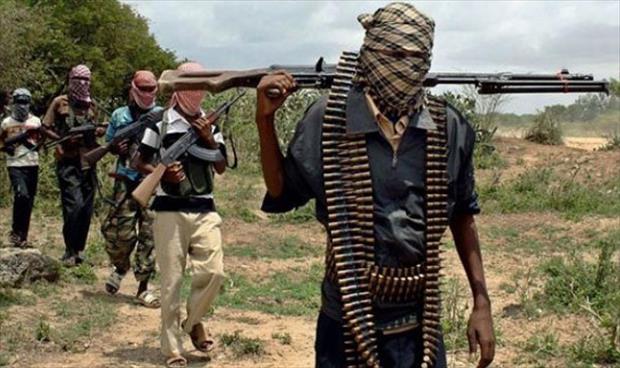 «بوكو حرام» تقتل 14 مدنيا في تشاد