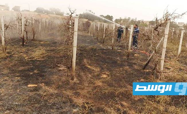 «الكهرباء»: السيطرة على حريق بمزرعة ملاصقة لمحطة جنوب طرابلس