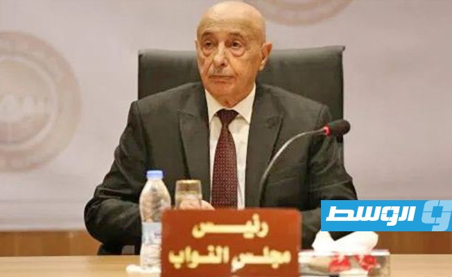 جدد دعوته لمجلس رئاسي جديد.. عقيلة صالح يطالب بخفض 20% ممن يزيد راتبه على 3 آلاف دينار