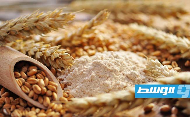 من بينها ليبيا.. مقرر أممي يحذر من تأثير اعتماد الدول المفرط على القمح الروسي والأوكراني