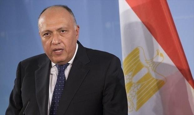 شكري لوزير خارجية الصين: مصر سعت إلى تثبيت وقف إطلاق النار في ليبيا عبر «إعلان القاهرة»