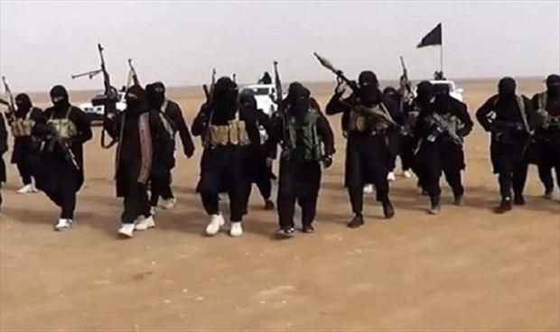 خبراء أمميون يرصدون كيف يعزز «داعش» روابطه مع الكتائب المحلية في المنطقة الوسطى والجنوبية