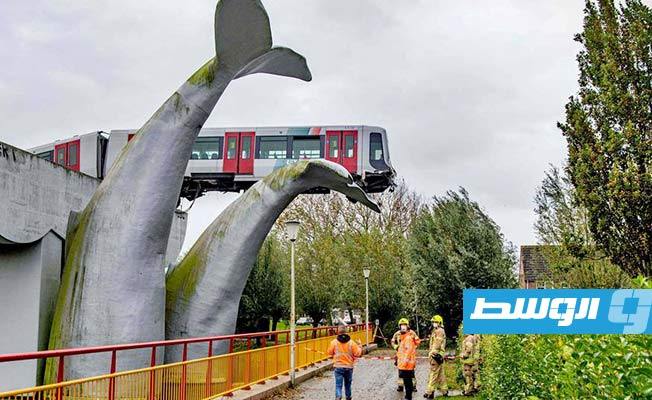 ذيل الحوت العملاق ينقذ قطارا من كارثة في هولندا (فيديو)