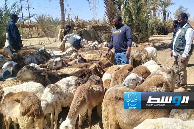 حملة الكشف على الماشية في الغريفة، 18 مارس 2024. (صفحة البلدية على فيسبوك)
