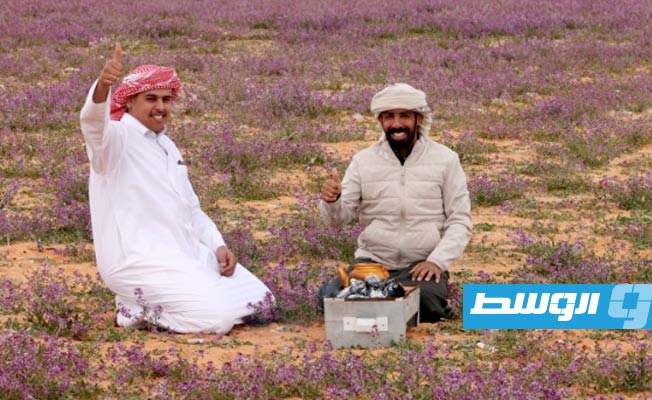 رجلان يحضّران الشاي في حقل طغى عليه اللون الأرجواني الفاتح بفعل انتشار نبتات خزامى برية في منطقة رفحاء قرب الحدود السعودية مع العراق، في 13 فبراير 2023 (أ ف ب)