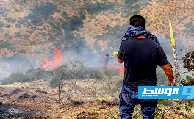 شبان متطوعون يخمدون حريقا بمحمية الشعافيين في مسلاتة، الجمعة 19 يناير 2023. (صفحة المحمية على فيسبوك)