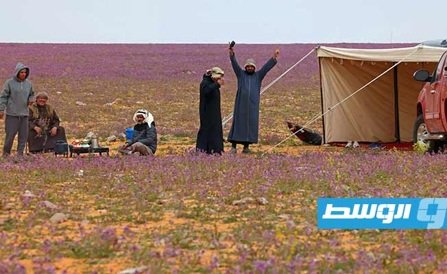 رجال يجتمعون في حقل طغى عليه اللون الأرجواني الفاتح بفعل انتشار نبتات خزامى برية في منطقة رفحاء قرب الحدود السعودية مع العراق، في 13 فبراير 2023 (أ ف ب)