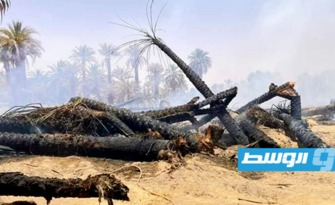 آثار حريق في مزارع وادي عتبة بالمنطقة الجنوبية، 1 يوليو 2023. (وزارة الشؤون الاجتماعية)