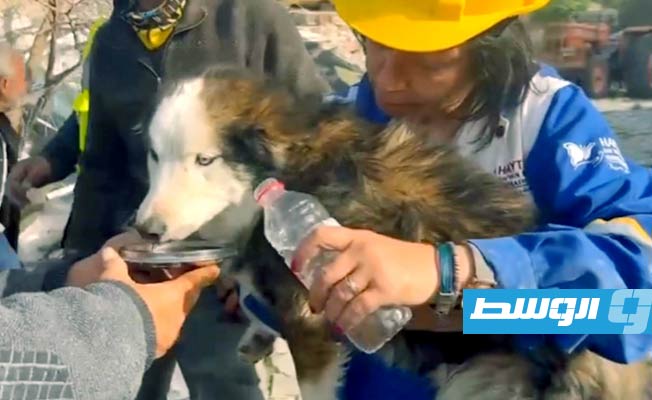 انتشال كلب في أنطاكية بعد 23 يوما على الزلزال