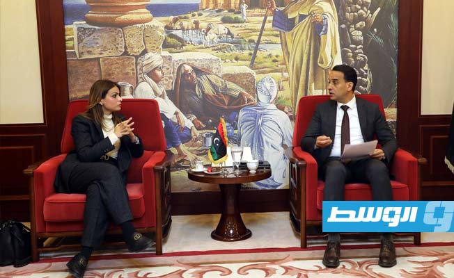 مستشارة وزير الاقتصاد تطالب بتشجيع الشركات الصينية الكبرى على دخول السوق الليبي