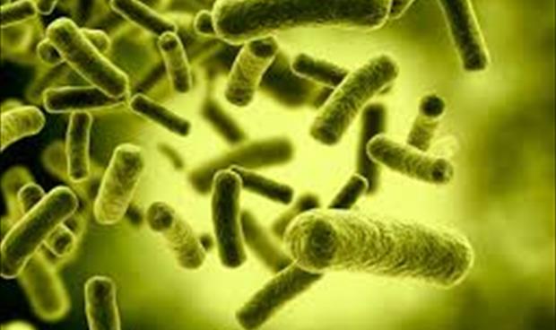 البكتيريا النافعة وأهميتها لجسمك