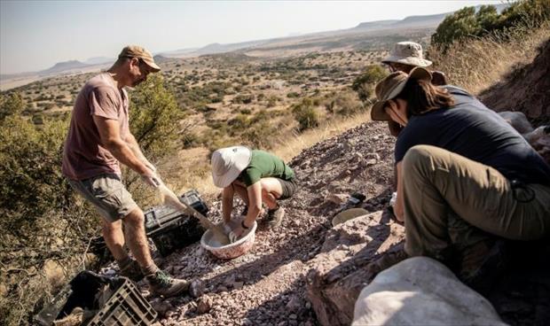 جنوب أفريقيا جنة الباحثين عن ديناصورات متحجرة