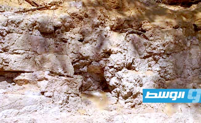 Roman-era house uncovered at site in Zawiya