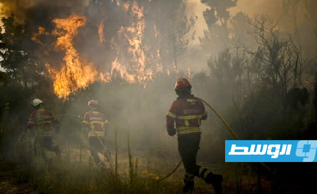 البرتغال تكافح للسيطرة على حريق في متنزه طبيعي