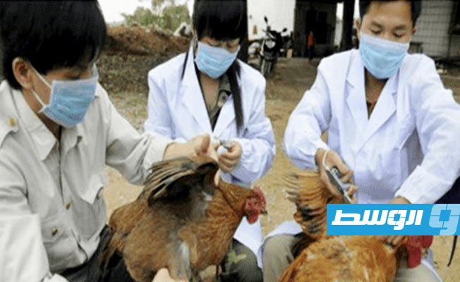 الصين تكتشف أول إصابة في 2022 بسلالة شديدة العدوى من إنفلونزا الطيور
