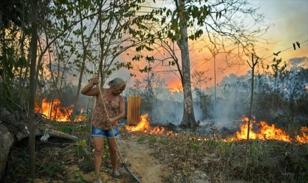 قطع الأشجار والإفلات من العقاب يؤججان حرائق الأمازون