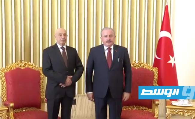 من لقاء عقيلة صالح مع رئيس البرلمان التركي في أنقرة، 2 أغسطس 2022. (البرلمان التركي)