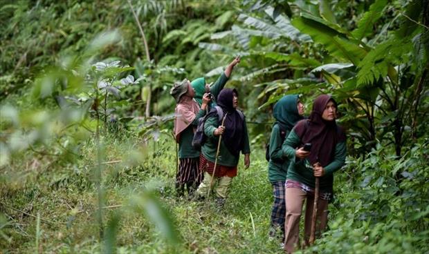 نساء سومطرة يحرسن الأدغال